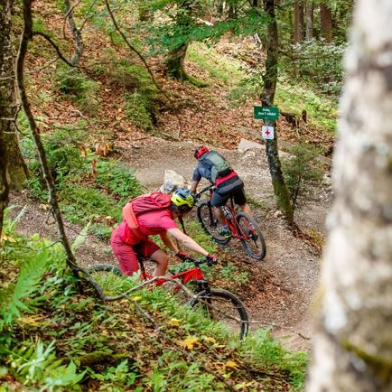 Lisi Osl Trail