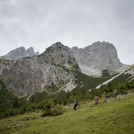 kaisergebirge_bei_ellmau_going_von_gaudeamus_huette_zur_regalm_adlerweg_etappe_01_tirol_werbung_schwarz_jens_ellmau.jpg