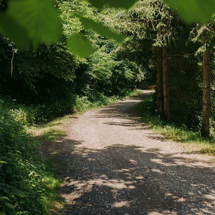 Old Church Path