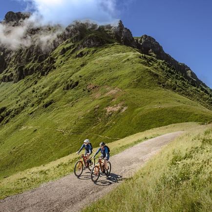 MTB Nr. 216, 2001 und 2000 - Descending the Kitzbüheler Horn on the Harschbichl Trail