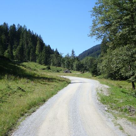 Radtour zur Tiefentalalm - Langer Grund Kelchsau