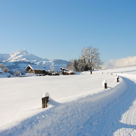 Europäische Winterwandertage: Wanderung  Fieberbrunn Buchensteinwandrunde Teil I