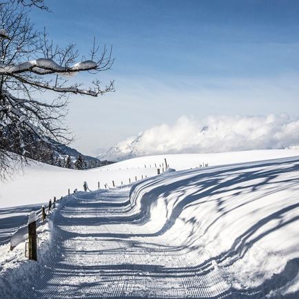 Europäische Winterwandertage: Wanderung Fieberbrunn Buchensteinwandrunde Teil II
