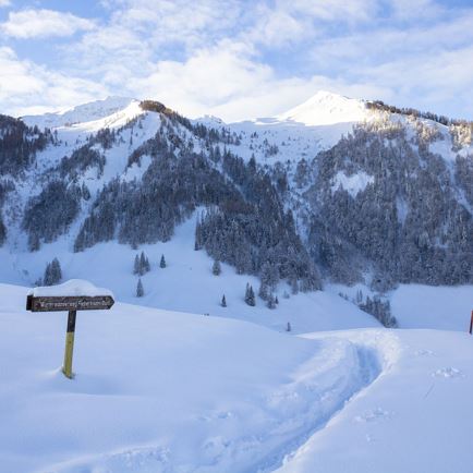 European Winter Hiking Days: Hike Zillstatt Middle Station Streuböden