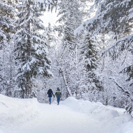 Europäische Winterwandertage: Wanderung Granbachrunde