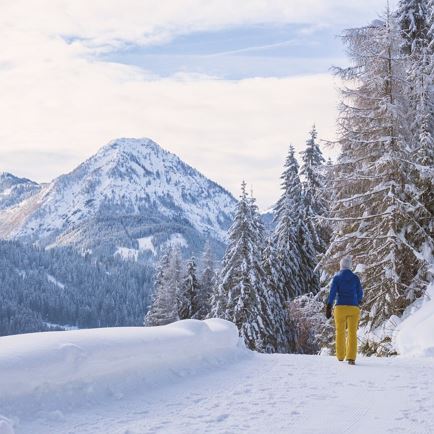 Europäische Winterwandertage: Wanderung Hochfilzen Biathlonstadion - Hoametzlhütte
