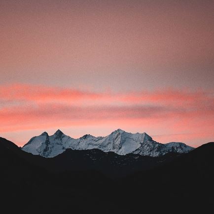 Feldalphorn von der Kelchsau