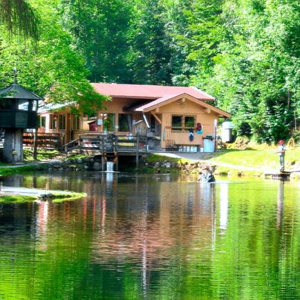 fischteich-hopfgarten-titelfoto-1.jpg