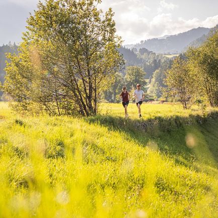 Gasthof Hauser Runde