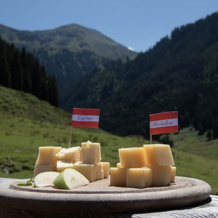 niederkaseralm_2026_region_hohe_salve_-_anna_freysinger-40.jpg