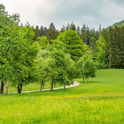 Gießen Runde