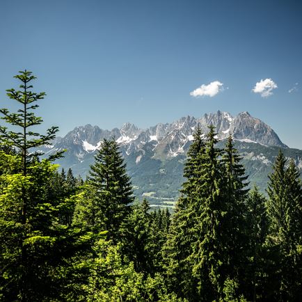Grutten Runde Bike Trail Nr. 283