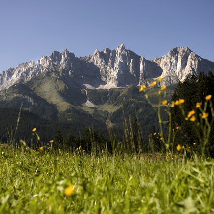 Hinterkaiserrunde Region St. Johann in Tirol