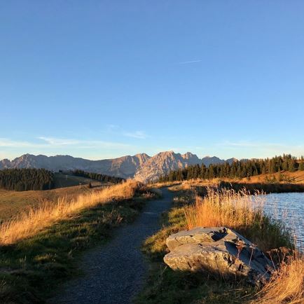 Hohe Salve - Hochbrixen