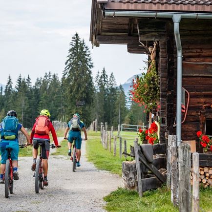 KAT Bike-Kitzbüheler-Alpen-Mountainbiker vorbei an Almen-Etappe 2 (c)ErwinHaiden (1).jpg