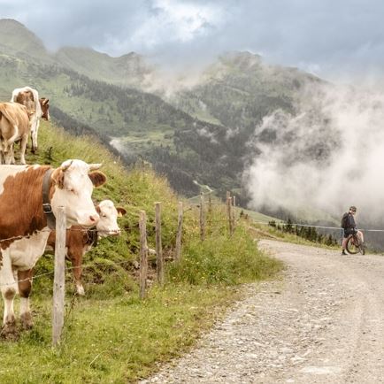 KAT Bike E-njoy Vom Windautal nach Oberndorf in Tirol