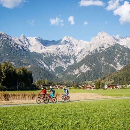 KAT Bike-Kitzbüheler-Alpen-Mountainbiker am Radweg nach Fieberbrunn-Etappe 4(c)E-Haiden.jpg