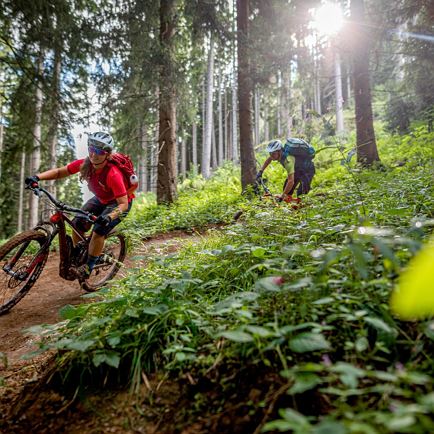 KAT BIKE SPORT+