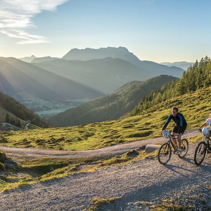 Lindtalalm / Winterstelleralm Nr. 221