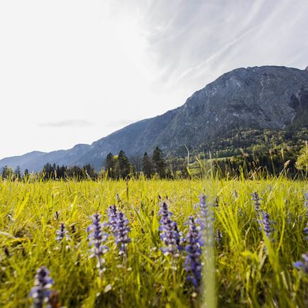 angerberg__mariastein_drohne_c_region_hohe_salve_-_magdalena_laiminger_18.jpg