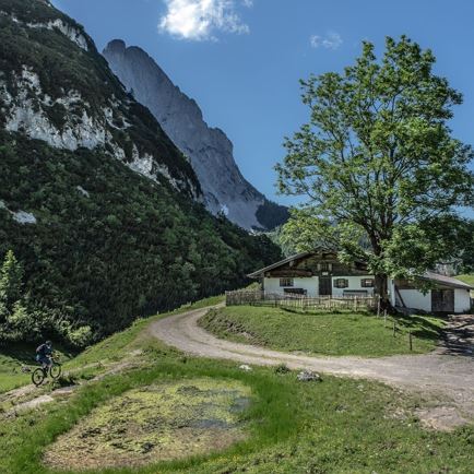 MTB Nr. 250 - View on the “Kaiser” on the Maukalm