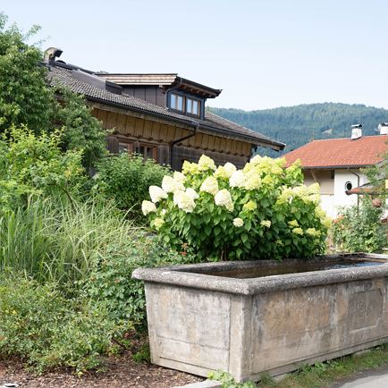 rosenweg_neu_itter_2026_region_hohe_salve_-_larissa_weiskopf-27.jpg