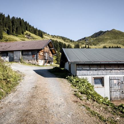 Schwarzkogel_Kitzbüheler Alpen - Brixental_Mathäus Gartner_FULL04.jpg