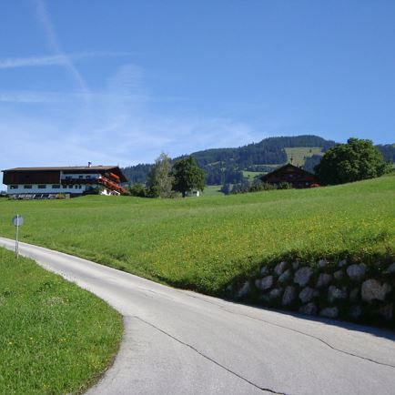 On the Salvenberg Hopfgarten to the Rigi mountain inn