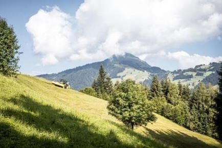 Schattseit`Runde in Brixen im Thale
