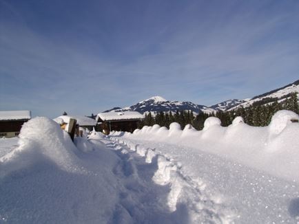 Snow Shoe Hiking “Straubing“