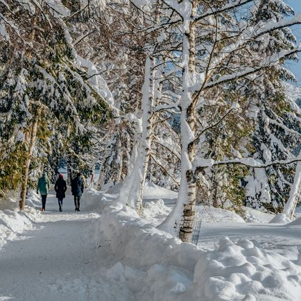 kitzb__hel_schwarzsee_winter_2018-19-04605.jpg