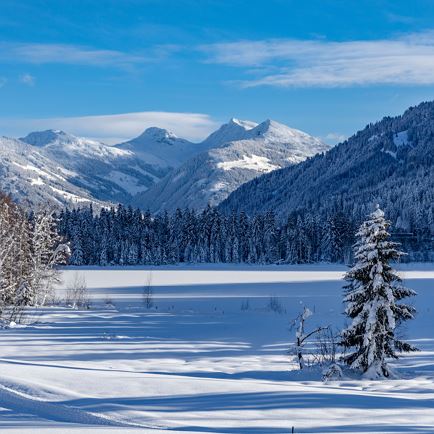 landschaft_natur_winterwandern_schwarzsee_winter_wald_c_kitzbuehel_tourismus_5.jpg