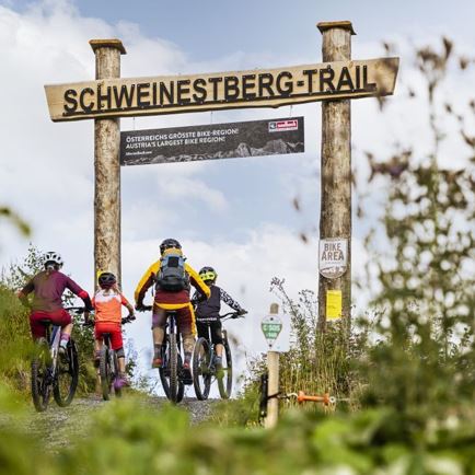 Schweinestberg Trail II - Bike Area Fieberbrunn