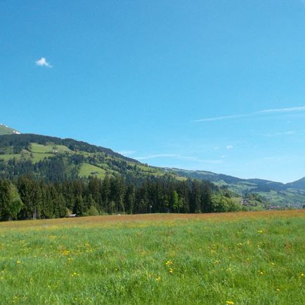 Blick auf Hohe Salve von Golfplatz.JPG