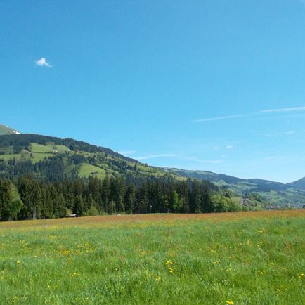 Blick auf Hohe Salve von Golfplatz.JPG