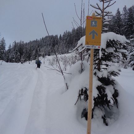 Signposted ski tour to the Alpenrosenhütte
