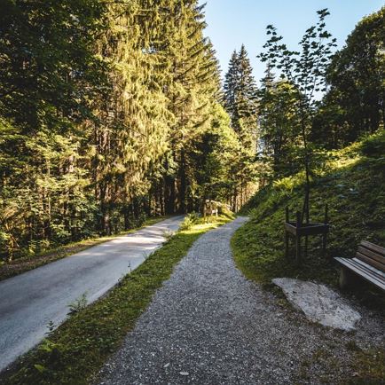 Kirchberg_Sommer_Kitzbüheler Alpen-Brixental_Mathäus Gartner (2019)_FULL24.jpg