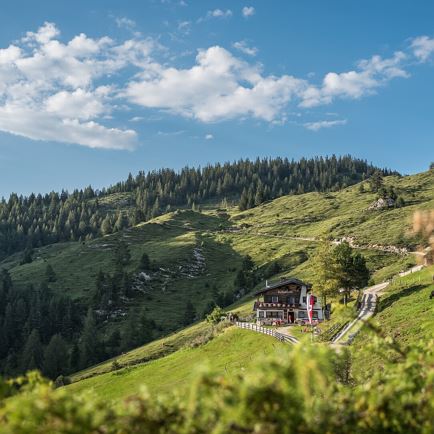 Hike to the Buchackeralm