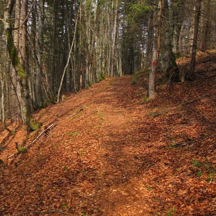 Warminger Höhenmarsch