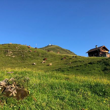 Salvensee_Kitzbüheler Alpen_Nicola Thost (2018)_LIGHT105.jpg