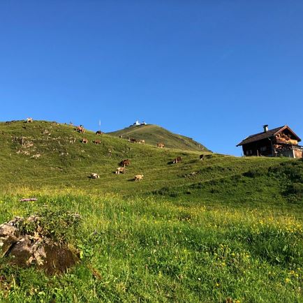 From Westendorf’s Salvenberg to Gasthof Rigi