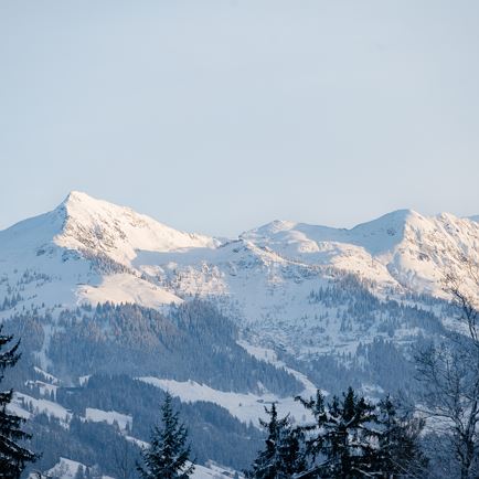 kelchsau_dorf_langer_grund_winter_2023region_hohe_salve_-_alexander_amer_33_von_33.jpg