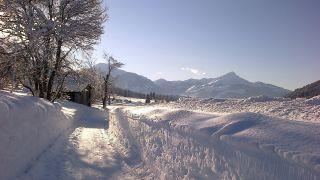 Winter hiking Fieberbrunn - alpine inn Jausenstation Tennalm / 1.080m