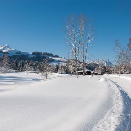 Winterlandschaft Lauchsee © Petra Astner (1).jpg