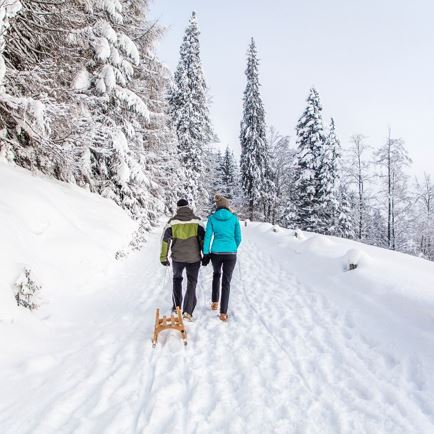 Winter hiking Hochfilzen - Hoametzlhütte