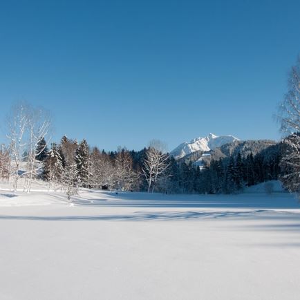 Winterlandschaft Lauchsee © Petra Astner (2).jpg