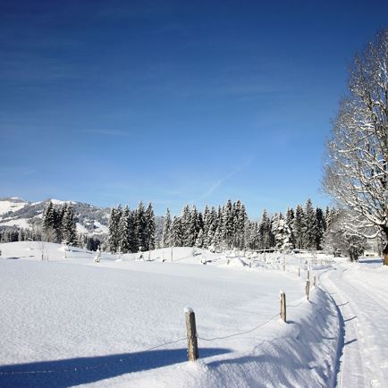 Winter Hike around the Golf Course