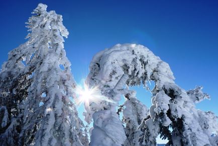 Winterwanderweg Grilling-Obwiesen