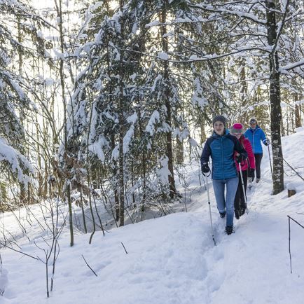Winterwanderwege_Mariastein_02_2018_Dabernig_9.jpg