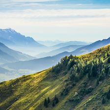 KAT WALK ALPINE